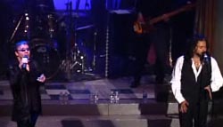 Night Fever -The Bee Gees Tribute