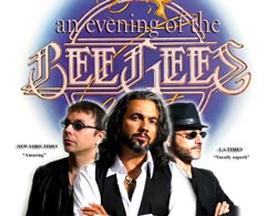 Night Fever -The Bee Gees Tribute