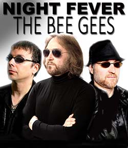 Night Fever -The Bee Gees Tribute